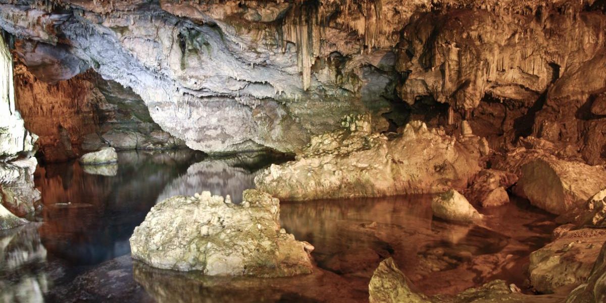 Escursione alle Grotte di Nettuno