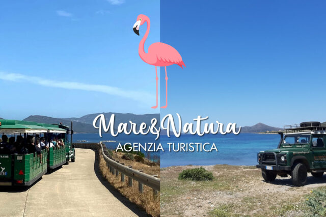 Scopri la magia di Settembre all’Asinara!