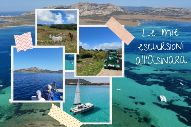 Scopri la magia del Parco Nazionale dell’Asinara: un viaggio in Sardegna tra Natura e Storia
